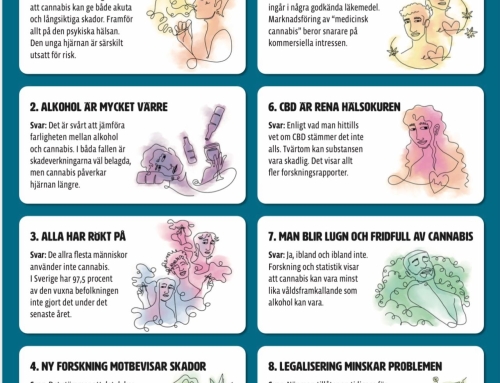 Myter om Cannabis – Kristoffer Samsing